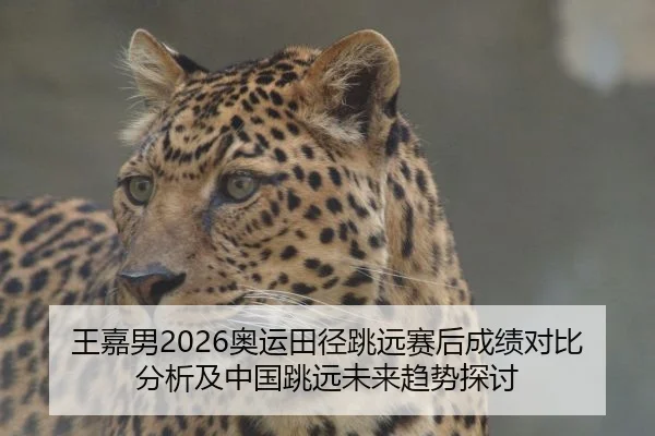 王嘉男2026奥运田径跳远赛后成绩对比分析及中国跳远未来趋势探讨