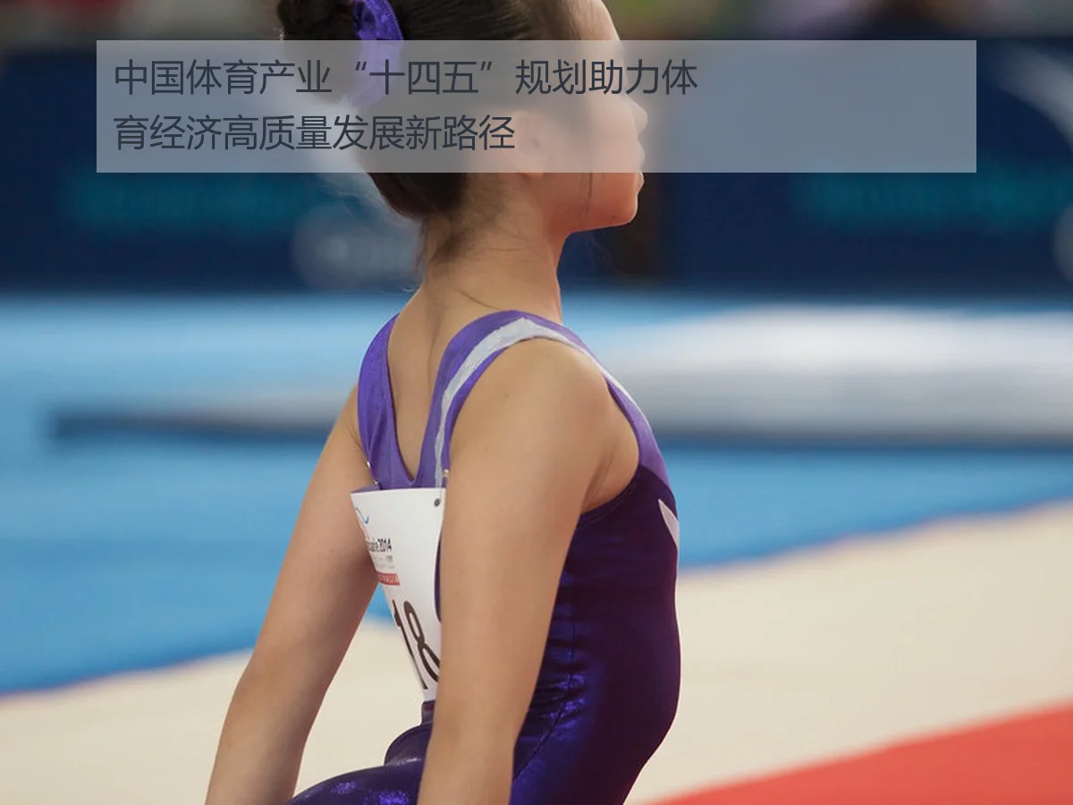 中国体育产业“十四五”规划助力体育经济高质量发展新路径